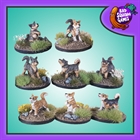 Vallhunder - Swedish Cattle Dogs (8)