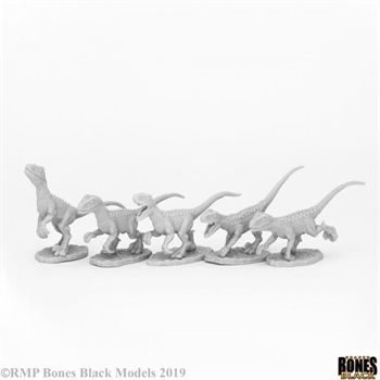Raptor Hunting Pack (5) (Bones Black)
