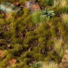 Dry Green 2mm Tufts - Gamer's Grass