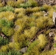 Green Meadow Set - Gamer's Grass
