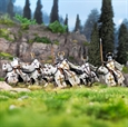 Teutonic Knights (Ordensstaat) (12)