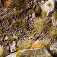 Tiny Dry Green 2mm Tufts - Gamer's Grass