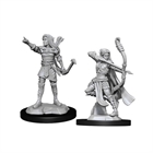 Female Elf Ranger (2)