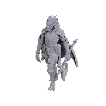 Dragonborn of Tiamat