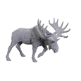 Bull Moose