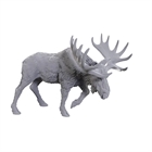 Bull Moose