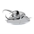 Giant Rhinoceros Beetle