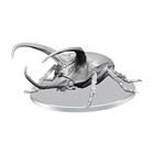 Giant Rhinoceros Beetle