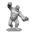 Kong