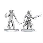 Vordine (Infantry Devil) and Pitborn Rogue