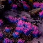Alien Neon Tufts - Gamer's Grass