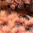 Alien Pink Tufts - Gamer's Grass