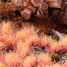 Alien Pink Tufts - Gamer's Grass