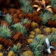 Alien Turquoise Tufts - Gamer's Grass