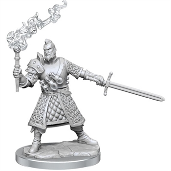 D&D Frameworks: Human Fighter Male
