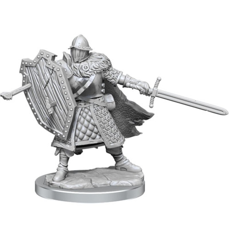 Buy D&D Frameworks: Human Fighter Male at King Games - Miniatures ...