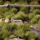 Green 4mm Tufts - Gamer's Grass