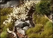 Tufts, Plants & Flowers