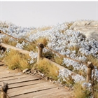 Light Blue Lilac Flowers - Gamer's Grass