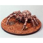 Giant Spider (Bones)