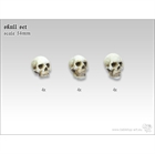 Skull Set 54mm (12)