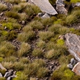 Mixed Green 6mm Tufts - Gamer's Grass