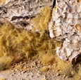 Spikey Beige 12mm Tufts - Gamer's Grass