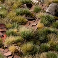Strong Green 6mm Tufts - Gamer's Grass