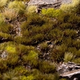 Swamp 4mm Tufts - Gamer's Grass