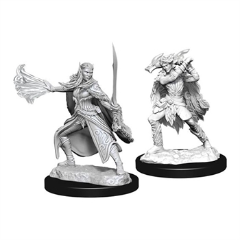 Winter Eladrin and Spring Eladrin (2)