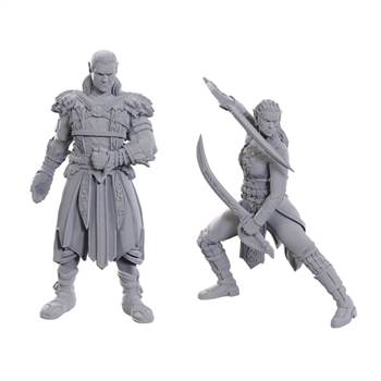 Baldur\'s Gate: Jaheira and Halsin